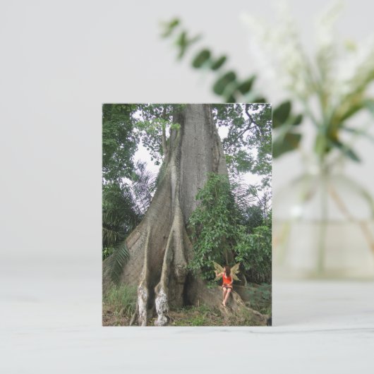 カポックの木とおとぎ娘のはがき ポストカード (スタンド正面)