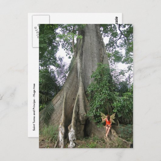 カポックの木とおとぎ娘のはがき ポストカード (正面/裏面)