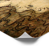 カポラッシ ポスター (角)