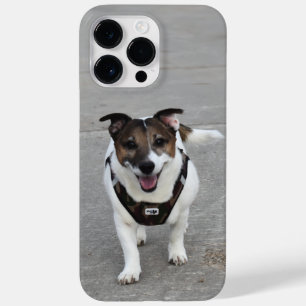 カポ・フォン・オッペンハイム, ジャック・ラッセル・テリア犬 Case-Mate iPhone 14 PRO MAXケース