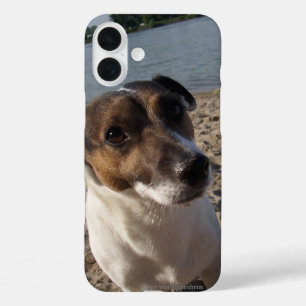 カポ・フォン・オッペンハイム・ジャック・ラッセル・テリア、ドッグ iPhone 16 PLUSケース