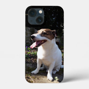 カポ・フォン・オッペンハイム・ジャック・ラッセル・テリア、ドッグ iPhone 13 MINIケース