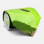 カマキリおよびホタルのタイを祈ること ネクタイ (ロール)