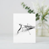 カマキリのコレクションを祈ること ポストカード (スタンド正面)