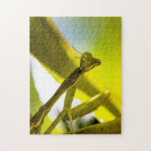 カマキリのジグソーパズルを祈ること ジグソーパズル (縦)