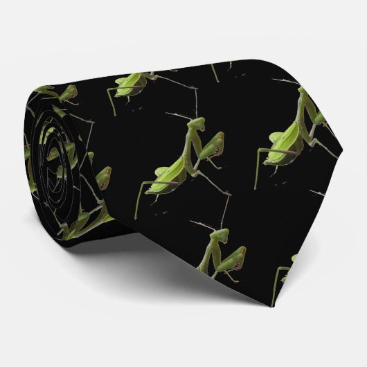カマキリのタイを祈ること ネクタイ (ロール)