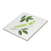 カマキリのタイルを祈ること タイル (側面)