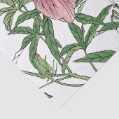 カマキリのティッシュペーパーが付いている日本のな花 薄葉紙 (詳細)