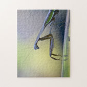 カマキリのパズルを祈ること ジグソーパズル (縦)