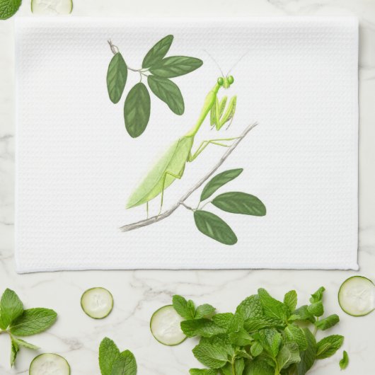 カマキリの台所タオルを祈ること キッチンタオル (折り畳み)