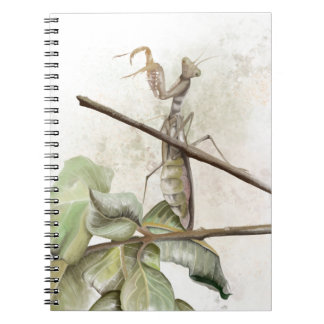 カマキリの水彩画 ノートブック