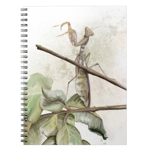 カマキリの水彩画 ノートブック (正面)