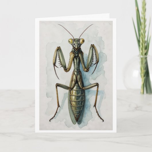 カマキリの水彩画 昆虫アート カード (正面)