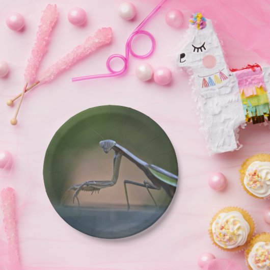 カマキリの紙皿を祈ること ペーパープレート (パーティー)
