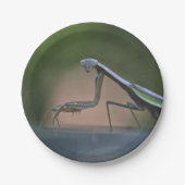 カマキリの紙皿を祈ること ペーパープレート (正面)
