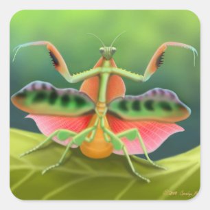 カマキリの表示を祈ること スクエアシール