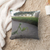 カマキリの装飾用クッションを祈ること クッション (ブランケット)