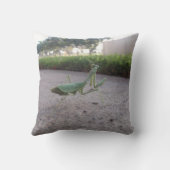 カマキリの装飾用クッションを祈ること クッション (裏面)