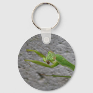カマキリのkeychainを祈ること キーホルダー