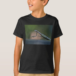 カマキリを祈ってTシャツをからかいます Tシャツ