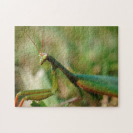 カマキリを祈ります、ギフト用の箱が付いている11x14写真のパズル ジグソーパズル