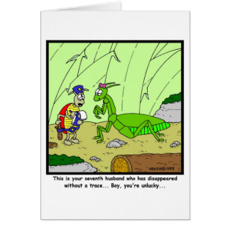 カマキリを祈ること