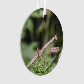 カマキリを祈ること オーナメント (正面)