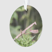 カマキリを祈ること オーナメント (正面)