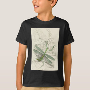 カマキリを祈ること、カマキリReligiosa Tシャツ