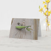 カマキリを祈ること カード (黄色い花)