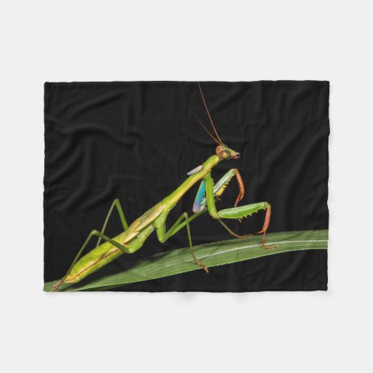 カマキリ、オザラ、コクア国立公園 フリースブランケット (正面(横))