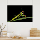 カマキリ、オザラ、コクア国立公園 ポスター (キッチン)