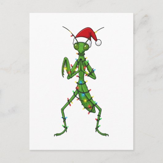 カマキリ クリスマス ホリデー 昆虫 虫 (正面)