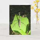 カマキリNotecardを祈ること カード (黄色い花)