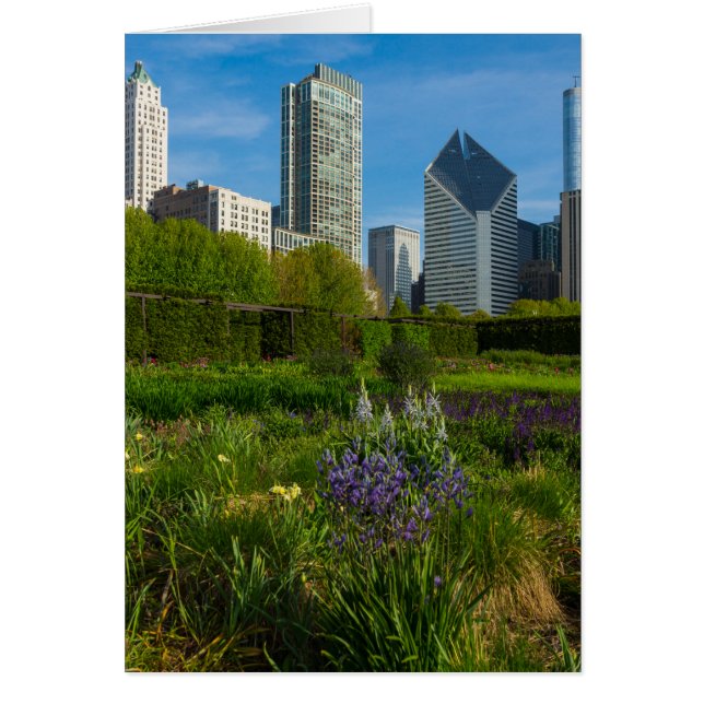 カマシア (正面)