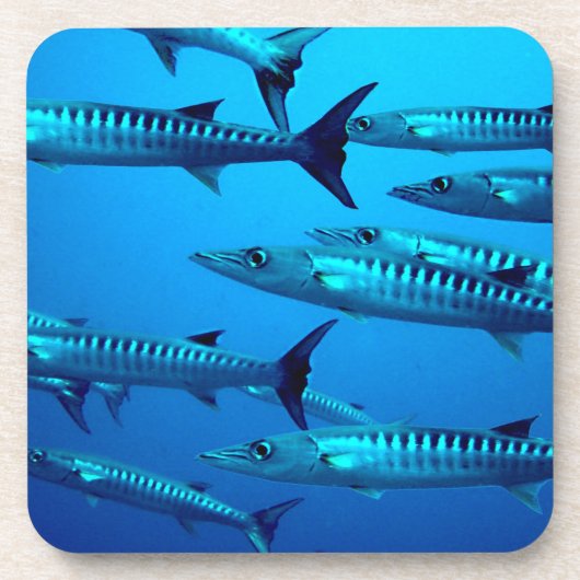 カマスの飛び込みの深海の海水熱帯波 コースター (正面)