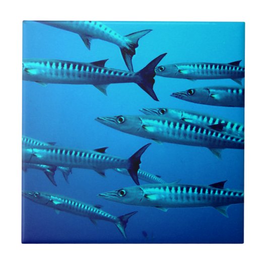 カマスダイビング深海海洋熱帯波 タイル (正面)