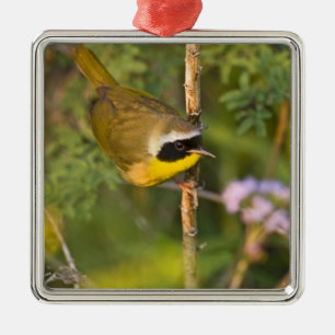 カマドドリ(Geothlypis trichas) 雄 メタルオーナメント