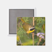 カマドムシクイ(Geothlypis trichas) オス マグネット (正面/裏面)