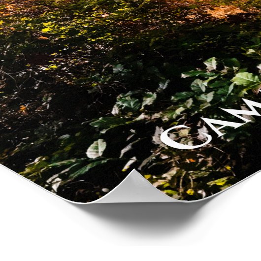 カマノアイランド州パークイン秋 ポスター (角)