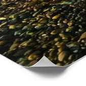 カマノアイランド州パーク編集可能文字と写真 ポスター (角)