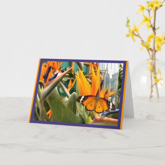 カマバチョウ カード (黄色い花)