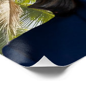 カマラのココナッツだ ポスター (コーナー)