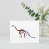 カマラサウルスの骨格 ポストカード (スタンド正面)