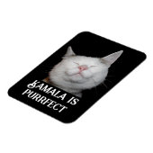 カマラズ・パーフェクト マグネット (左側)