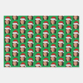 カマラハリス顔 ラッピングペーパーシート (正面3)