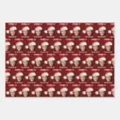 カマラハリス ラッピングペーパーシート (正面)