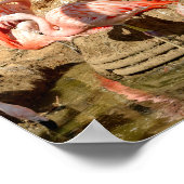 カマルグのフラミンゴと巣のグループ ポスター (角)