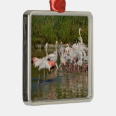 カマルグのフラミンゴのグループ メタルオーナメント (右)