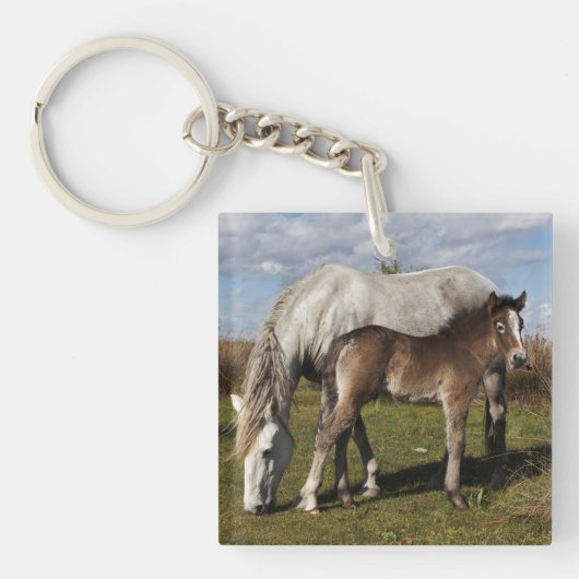 カマルグの子馬と母馬 キーホルダー (正面)